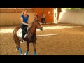 celina und kathe in blau mit rocky und tea