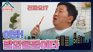 국제 암 연구소가 발암물질로 분류한 뜻밖의 위험요인은? 정답은 ‘야간 근무’ [옥탑방의 문제아들/Problem Child in House] | KBS 231213 방송