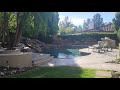 Pool / spa inspections