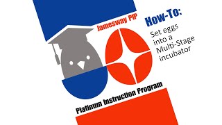 PIP HT 16   Setting eggs into a Multi Stage incubator