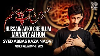 HUSSAIN AS APKA CHELUM  | Syed Abbas Raza Naqvi | Arbaen Noha 2023-1445H@AbbasRazaOfficial1101