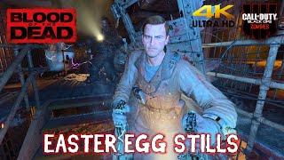 Blood of the Dead Easter Egg Theater Mode Stills (4K)