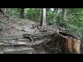 登拝　新しくなって綺麗になっていました　物部神社　令和初参拝　〒694 0011 島根県大田市川合町１５４５