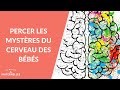 Percer les mystères du cerveau des bébés - La Maison des maternelles #LMDM