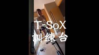 T SoX 訓練台自主訓練 職業車手骨折最佳陪伴