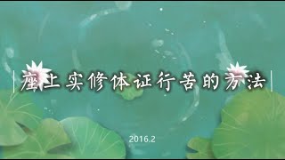 座上实修体证行苦的方法 20200701（苦谛）（人无我）（窍诀方法）