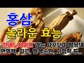 홍삼의 놀라운 효능 8가지 & 부작용 / 