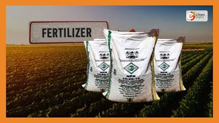 State of the Nation: Who is behind the fake fertilisers? | DAY BREAK