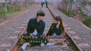 Bhanau nabhanau (slowed reverb) nepali song @DineshStha9