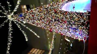 東京オペラシティのクリスマスツリー２００９