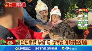 動物園走春趣! 台南有球蟒.變色龍 壽山有水豚｜三立新聞網 SETN.com