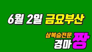 [경마짱]6월2일 금요부산경마 예상방송 (김주원 원정일)