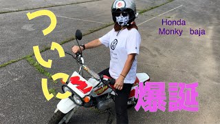 ついに登場❕女子ライダーを目指して❕モンキーバハ50❕