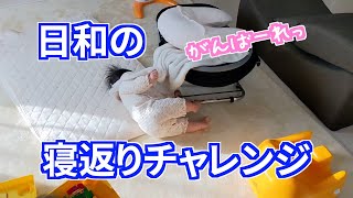 【3歳】日和の寝返りチャレンジ【生後6ヶ月】