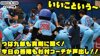 つば九郎　今日の燕陣も杉村コーチ！みんな笑顔で聞く！　2024/5/30 vsロッテ