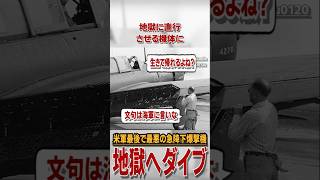 搭乗員を地獄へダイブさせる民主主義理解らせ欠陥艦爆 #雑学 #解説