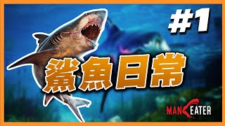 鯊魚日常!? 《Maneater 食人鯊遊戲》 (全粵語字幕)  | 遊戲遊玩 #1  | SaiHoHK