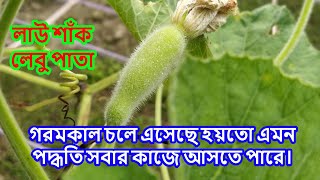 গরমকাল চলে এসেছে হয়তো এমন পদ্ধতি সবার কাজে আসতে পারে। WAYS TO SAVE VEGETABLES FOR THE WHOLE YEAR