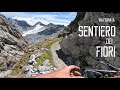 GoPro SENTIERO dei FIORI |  ferrata Ghiacciaio Presena - Passo Paradiso