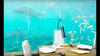 Ithaa: The World's First Glass Undersea Restaurant at Conrad Maldives