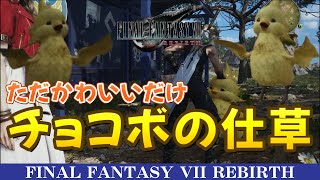 【小ネタ】チョコボがかわいすぎるので現時点でのかわいい仕草集めてみた【FF7リバース】【FF7】【FF7R】