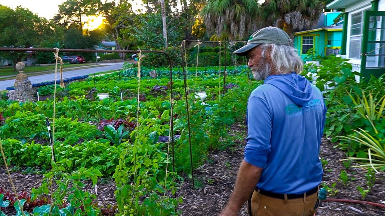 His Regenerative Micro-Farm Flourishes More + More Every Year! Garden Update W/ Jim Kovaleski