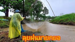 ลุยฝนมายกยอหลังฝนตกทั้งคืน# ยกสะดุ้ง#fishing