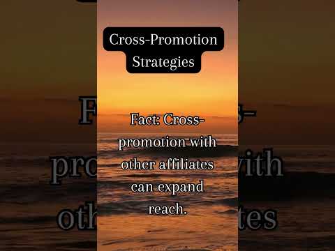 Cross-promotion strategies for affiliate marketing