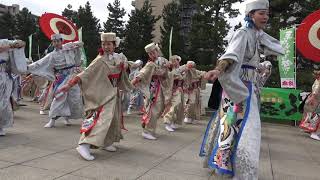 天空しなと屋 しん／草加ふささら祭り 踊るん♪よさこい2019