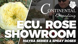 JFTV: Continental Breeding Ecuadorian Rose Farm Showroom with Mike