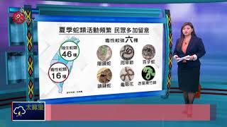 夏季蛇類頻出沒 慎防咬傷 急救有方 2018-06-12 IPCF-TITV 原文會 原視新聞