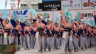 Always Yosakoi  第71回よさこい祭り2024  高知城会場　8.11(日)  よさこい踊り