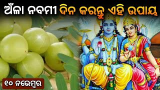 Amla Navami 2024 | ଅଁଳା ନବମୀ ୨୦୨୪ odia | ଅଁଳା ଗଛ ଘରେ କେଉଁଠି ରହିଲେ ଧନର ବର୍ଷା | Anla Nabani puja vidhi