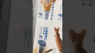 シナモロール、日本一高いアイスクリームを発見、超高級キャビアのアイスクリーム！高級食材、お金持ちの方は是非食べてみてください