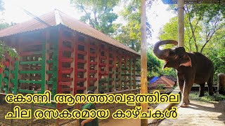 Konni ecotourism കാഴ്ചകൾ, കോന്നി കൊച്ചയ്യപ്പൻ | konni elephant park #funny #entertainment