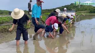 手植えと田植え機、どっちが大変？　小学生が身をもって体験　南種子