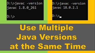 How to use multiple Java versions at the same time?