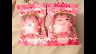 Mini Angel Marshmellii Squishies 👼🐷 //and Marshmellii Collection Comparisons 🐽🐖