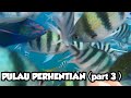 PULAU PERHENTIAN TERENGGANU ( PART 3 )