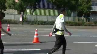 大阪マラソン2014 住之江区南港東5丁目 Osaka Marathon 2014 at Nanko-higashi 5-chome