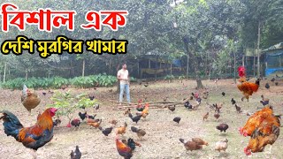 বিশাল বড় দেশি মুরগির খামার || মুক্ত পদ্ধতিতে দেশি মুরগি পালন || Nur Bhai