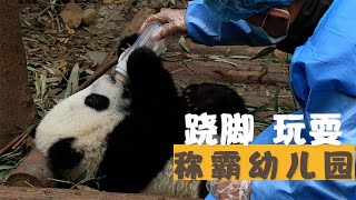 《熊貓成長日誌》第2季 第12期：稱霸幼稚園的功夫小熊 | iPanda熊貓頻道