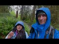 hoh rainforest in washington’s olympic national park is a bucket list destination