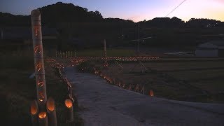 洲本市の原風景を照らす竹灯ろう 淡路島を包む優しい灯り