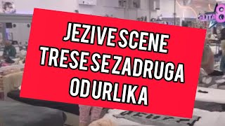 Jezive scene! Trese se Zadruga od URLIKA: Napravili KARAMBOL