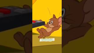 funny Tom and Jerry and real cat and mouse 🤣