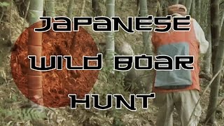 Japanese Wild Boar Hunt!