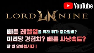 로드나인: LORDNINE : 빠른 레벨업을 위해 뭐가 제일 중요할까?