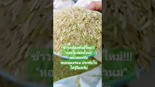 ข้าวกล้องพันธุ์ใหม่!!! ไฉไลกว่าเดิม หอมใบเตยน้ำนม ทนายธงชัย หอมนุ่มอร่อย ประทับใจไม่รู้ลืมครับ