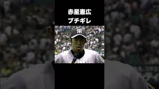 赤星憲広選手のブチギレシーンが何度見ても面白すぎる #プロ野球